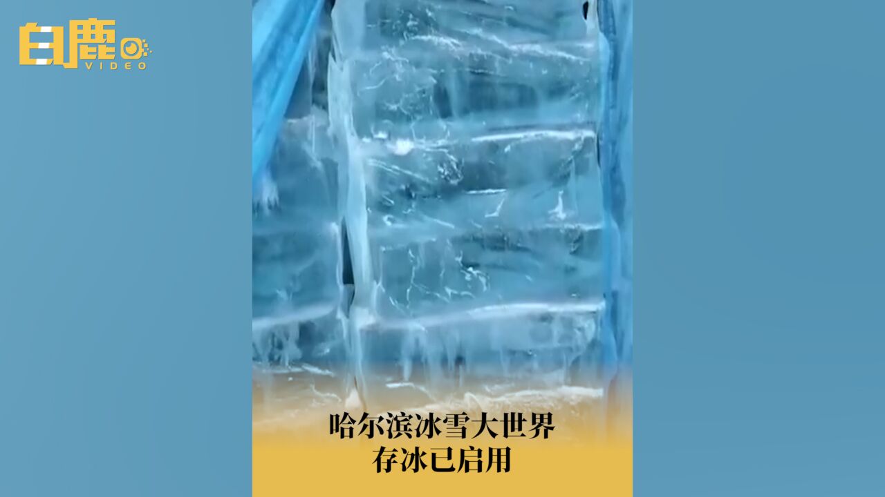 哈尔滨冰雪大世界存冰已启用