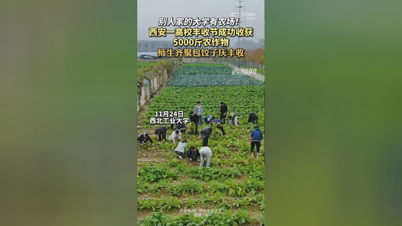 西安一高校农场丰收 师生包饺子庆祝