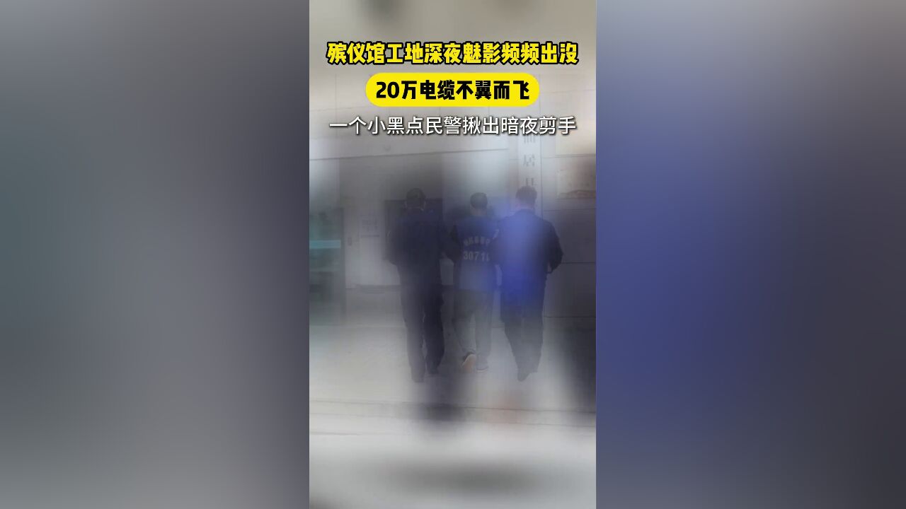 殡仪馆工地深夜黑影频出没,20万电缆不翼而飞,从一个小黑点民警揪出暗夜剪手