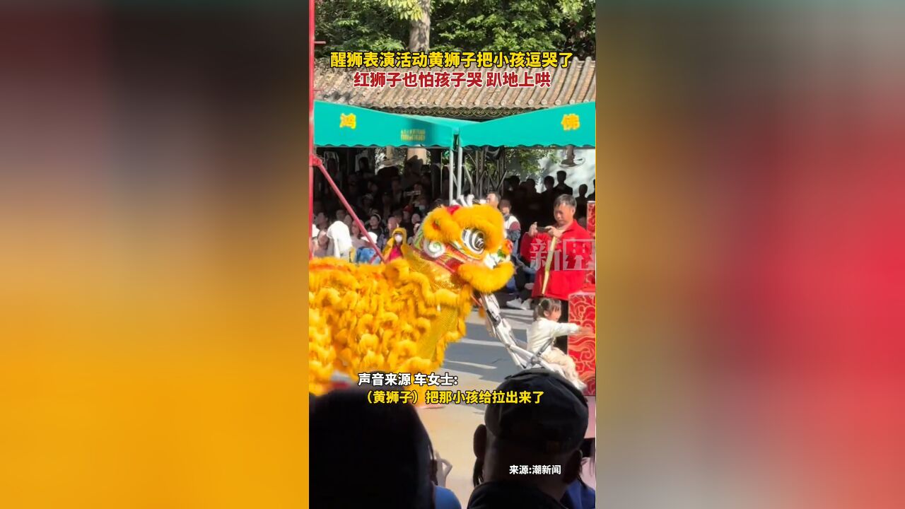 醒狮表演活动黄狮子把小孩逗哭了,红狮子也怕孩子哭,趴地上哄