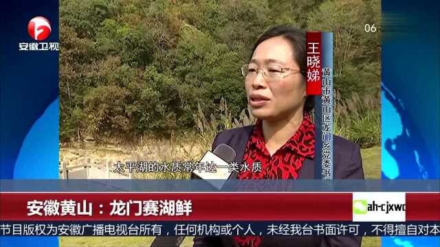 安徽黄山 龙门赛湖鲜