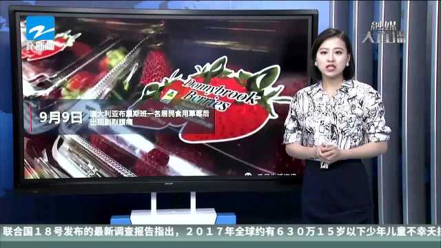 澳大利亚“问题草莓”不断升级 已波及六个州7个草莓品牌