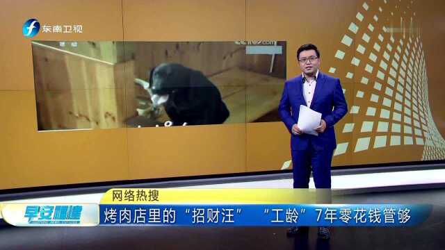 网络热搜 烤肉店里的“招财汪” “工龄”7年零花钱管够