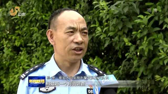 泰安:多部门联动 从严从快推进扫黑除恶专项斗争