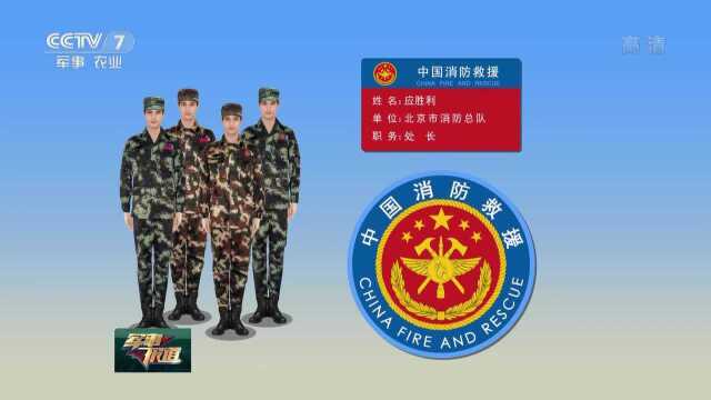 国家综合性消防救援队伍改革过渡期身份标识牌发布