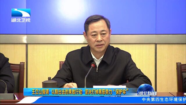 王立山强调 以豁出去的果敢行动 坚决打掉黑恶势力“保护伞”