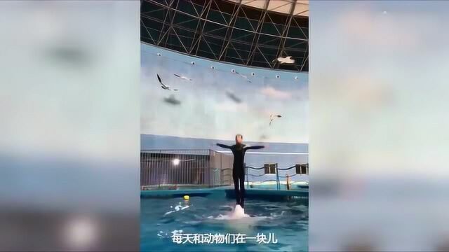 90后男子站海豚背上冲浪:人与海豚“合二为一”破水而出