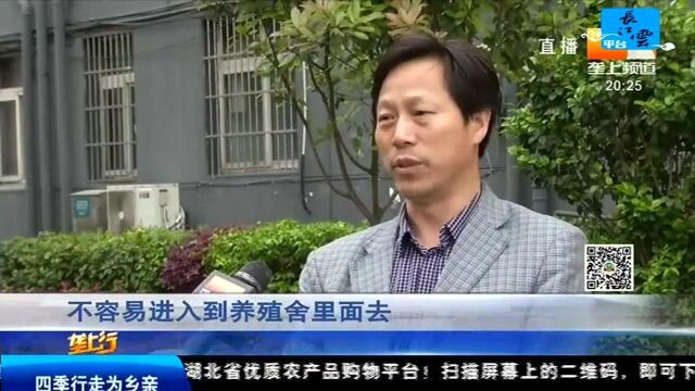 农业高质量发展 “无抗”来养鸡 产下安全蛋