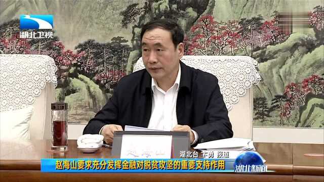 赵海山要求充分发挥金融对脱贫攻坚的重要支持作用