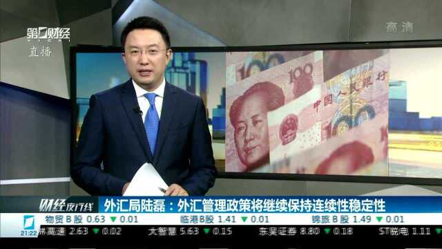 外汇局陆磊:外汇管理政策将继续保持连续性稳定性