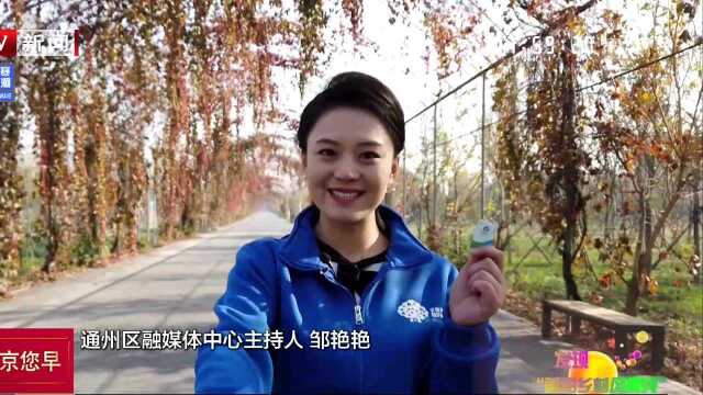 发现美丽乡村风景线 通州潞城镇:美丽乡村 文明先行