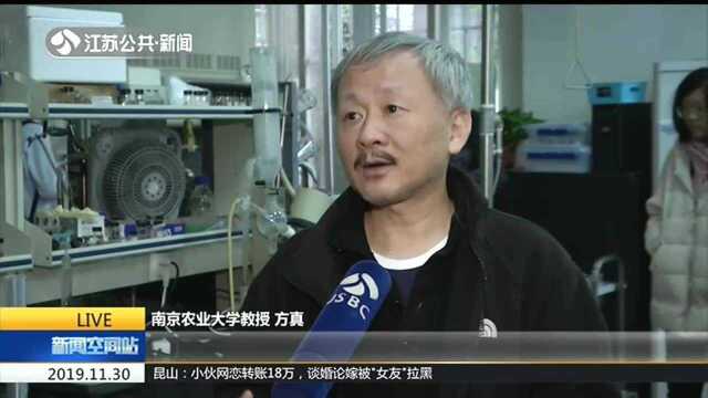 一起打卡南京农业大学实验室:新型催化剂为身边环境添“绿”