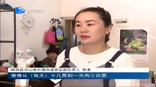 洋山镇:书写港城联动发展新篇章