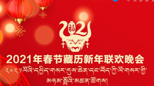饥饿游戏综艺——胜者诞生与总结反思