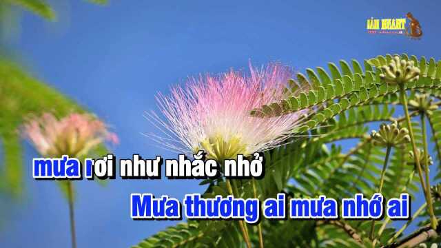 M氡 Rừng  Tone Nam Phối Mới