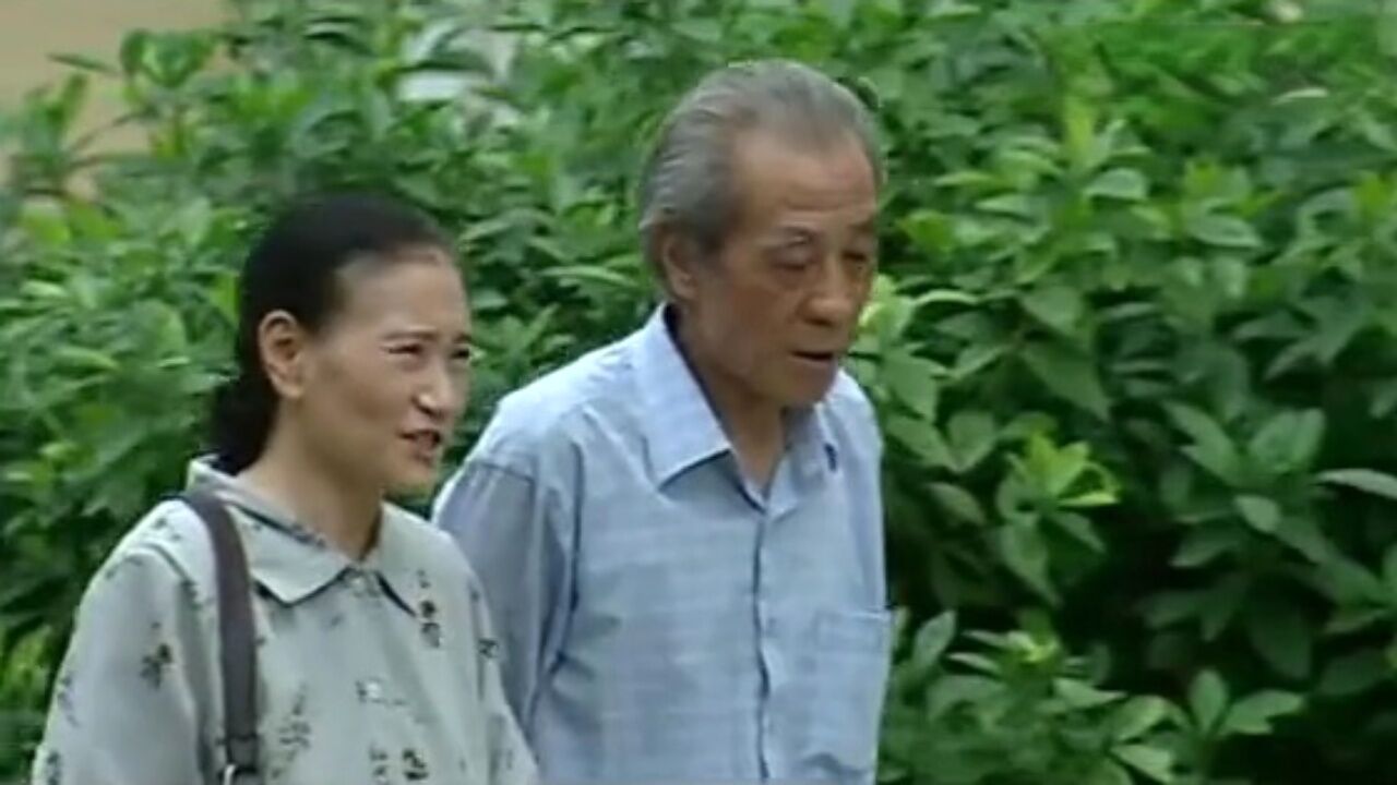 男女之间的真情