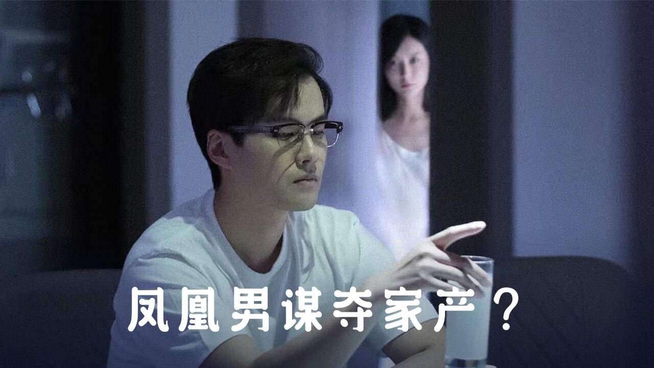 凤凰男不仅出轨,还想要侵吞家产?