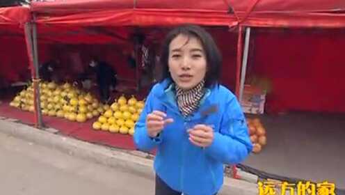 Thumbplayer Poster Plugin Image