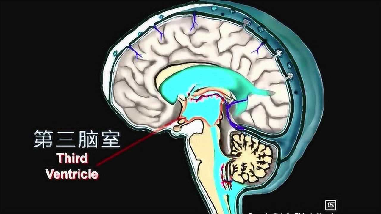 高清1080P在线观看平台 腾讯视频