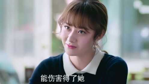 Thumbplayer Poster Plugin Image