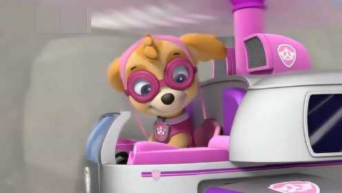 汪汪队立大功 天天和老鹰空中夺球 - 腾讯视频