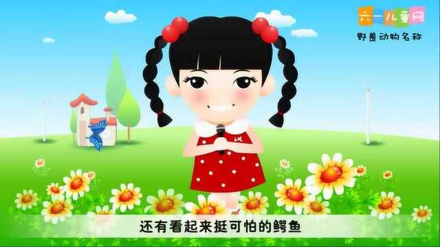 嘟拉学英语:让我们一起学习野兽动物名称