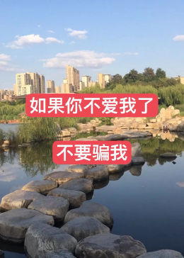 如果你不爱我了，不要骗我