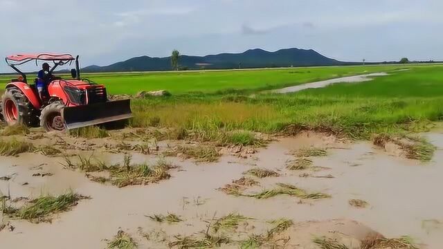 两台久保田拖拉机开荒水田