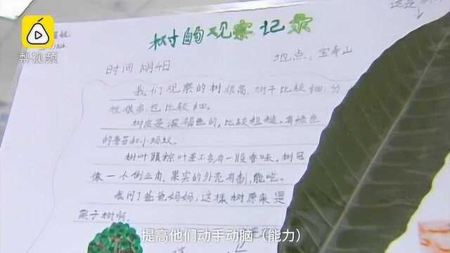 小学布置奇葩作业:观察树叶 并手写12页报告