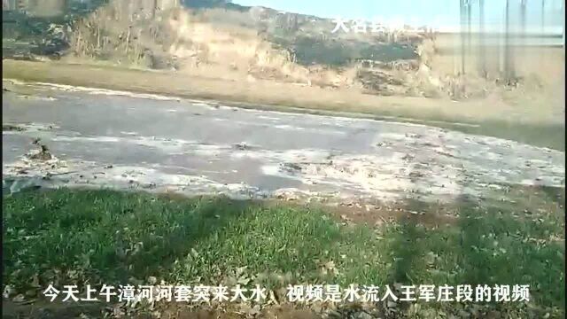 大名县漳河来大水了,水流湍急!