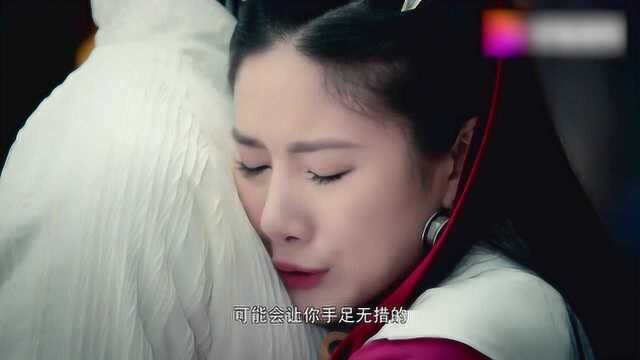 妖后说出了妖族的秘密,只要戴上魔戒就能成为妖王