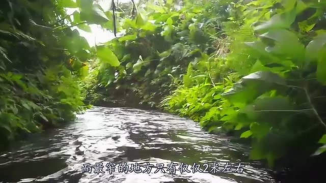 尧山第一漂,夏季漂流最佳选择,好玩又刺激,炎炎夏热感受清凉时刻!