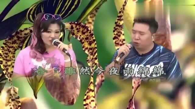 好听的歌曲雨绵绵