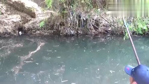 钓鱼：浮漂不见了就是有鱼上钩了！ - 腾讯视频