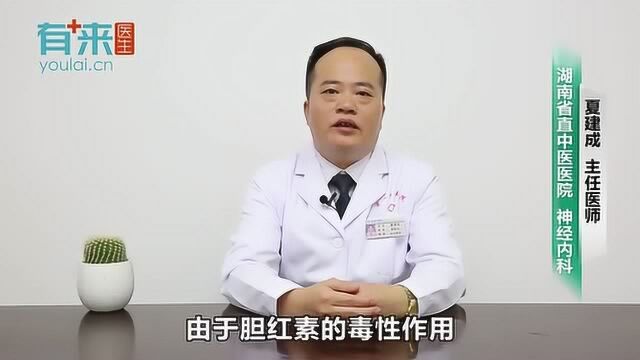 胆红素脑病是什么