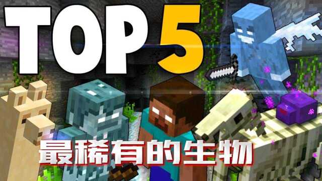 我的世界:你最不了解的怪物TOP5,原来MC里还有这么一个小妖精啊?