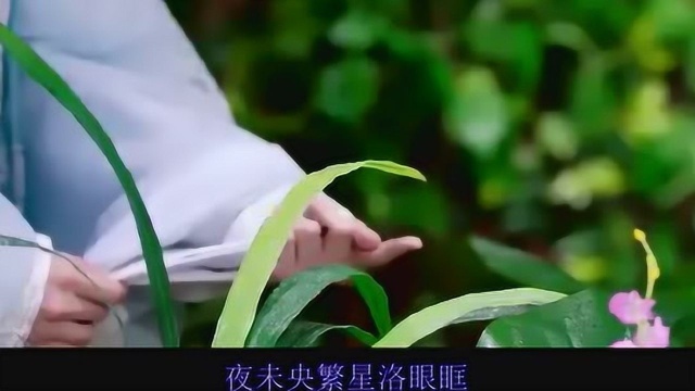 贾涛唱《医妃难囚》主题曲《归故乡》,动感好听句句优美,好听