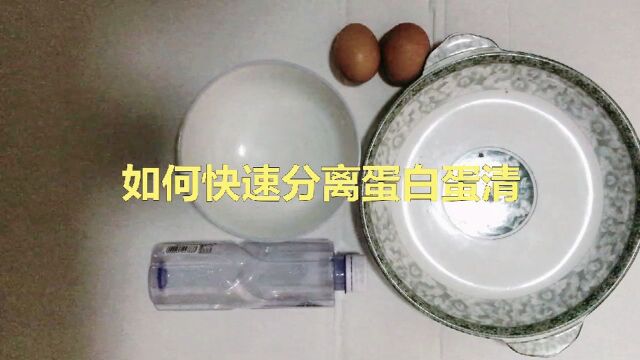 分离蛋清蛋白