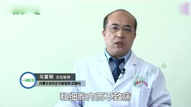 阿米巴病是什么病?危害有哪些?常见发病部位有哪些?