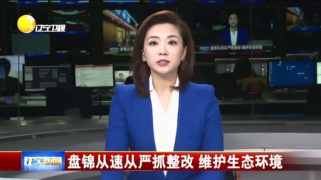 盘锦从速从严抓整改,维护生态环境,积极回应群众反映问题