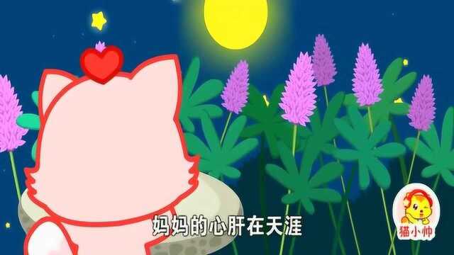 猫小帅儿歌:鲁冰花 天上的星星不说话,妈妈的心肝在天涯