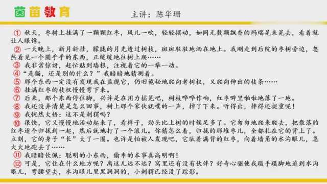 三年级上册语文23《带刺的朋友》课文讲解