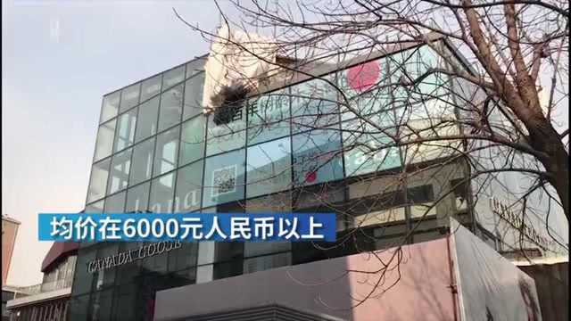 加拿大鹅内地首家店暂缓开业:logo被裹