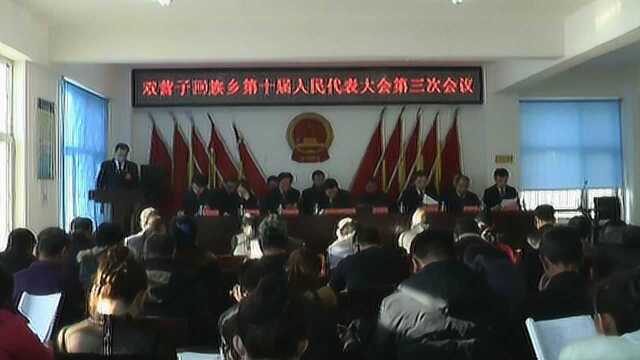 双营子回族乡第十届人民代表大会第三次会议召开