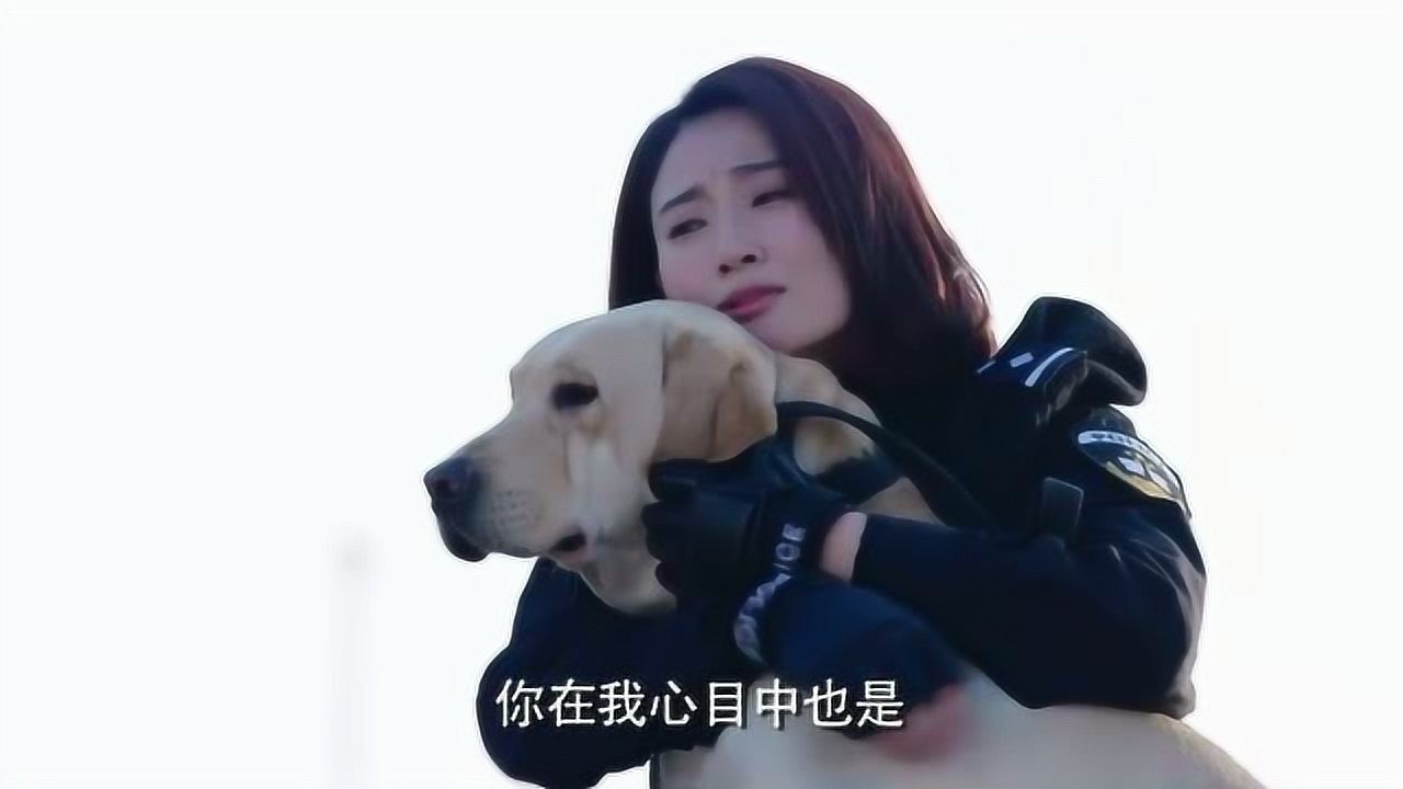 警花与警犬杜队为了樱桃什么招都使了多亏了李姝寒