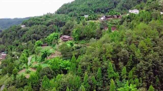 走进四川广元大山中的农村,依山傍水好风景,是你想要的地方吗