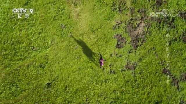 《航拍中国》 甘肃:美丽湿地,每看一眼都是风景