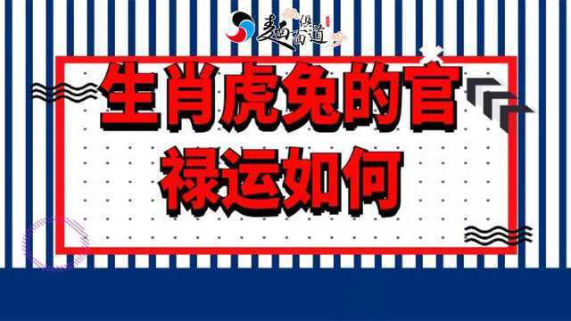 2019年生肖虎、兔的官禄运如何?生肖兔女命会旺夫!