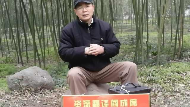 牛!大叔从事翻译20年,公园办免费英语角:提高市民英语水平