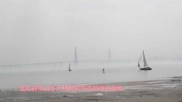 海市蜃楼?今早虚无缥缈的海雾将象山港渲染成仙境